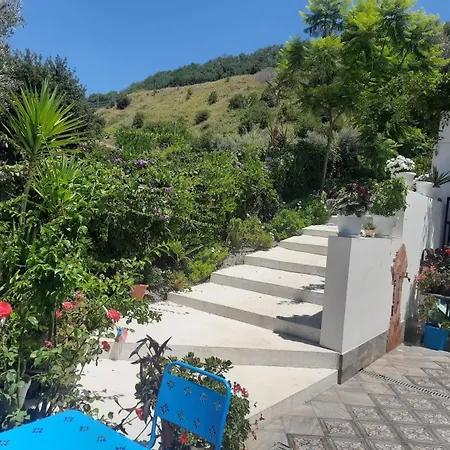 Vacanze Nel Blu Di * Pizzo (Calabria)